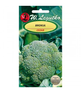 LW - BROKUŁ CEZAR 2g /3/