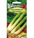 LW - CEBULA SIEDMIOLATKA LONG WHITE 2G