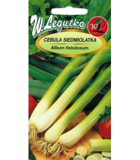 LW - CEBULA SIEDMIOLATKA LONG WHITE 2G