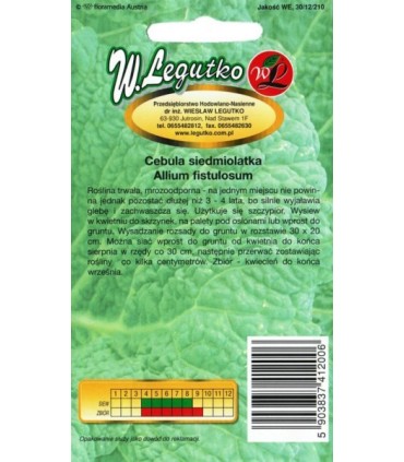 LW - CEBULA SIEDMIOLATKA LONG WHITE 2G