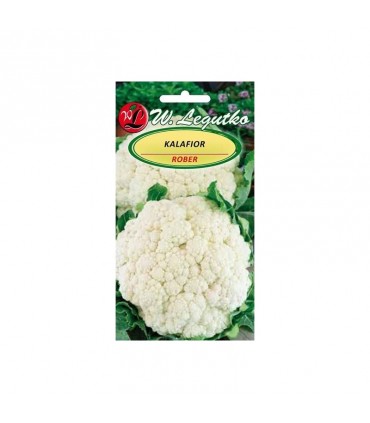 LW - KALAFIOR ROBER 1G /6/