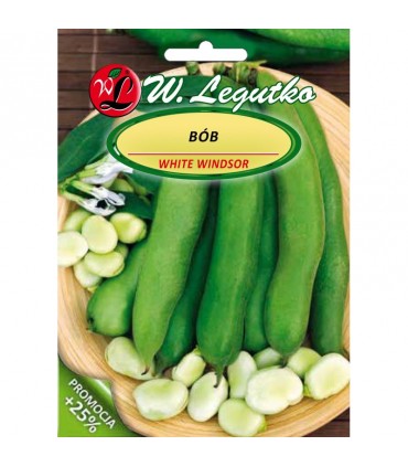 LW - BÓB WINDSOR BIAŁY 40g +10g /3/