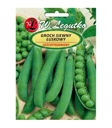 LW - GROCH SIEWNY SZEŚCIOTYGODNIOWY 40G /2/