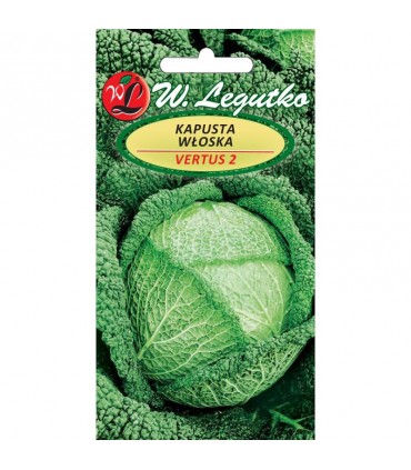 LW - KAPUSTA WŁOSKA VERTUS 2 2G /2/