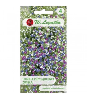 L - LOBELIA ZWISŁA MIX 0,2G