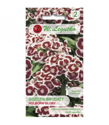 L - GOŹDZIK BRODATY HOLBORN GLORY 0,5g /2/