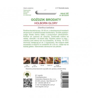 L - GOŹDZIK BRODATY HOLBORN GLORY 0,5g /2/