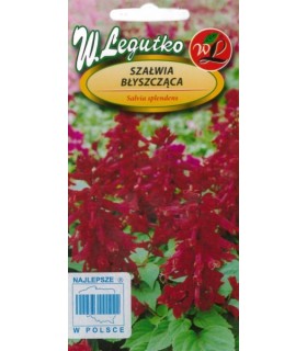 L - SZAŁWIA BŁYSZCZĄCA WIŚNIOWA 0,3g