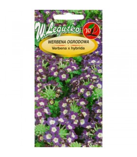 L - WERBENA OGROD. NIEB. Z BIAŁ.OCZK. 0,3g