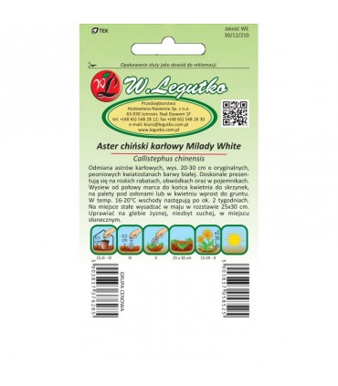 L - ASTER CHIŃSKI KARŁ. BIAŁY MILADY 1g /1/