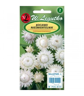 L - KOCANKA BIAŁA 1g /2/