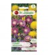 L - CHABER WIELOLET. MIESZ. GAT. 0,5g /5/