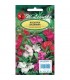 L - NIECIERPEK BALSAMINA MIX 1g /1/