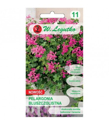 L - PELARGONIA BLUSZCZ. FUCHSIA F1 5 NAS. /7/