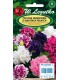 L - PETUNIA KWIATY PEŁNE POLKA F2 MIX. 50 NAS /9/