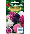 L - PETUNIA KWIATY PEŁNE POLKA F2 MIX. 50 NAS /9/