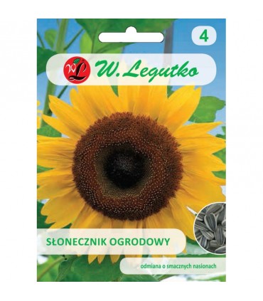 LW - SŁONECZNIK JADALNY OGROD. 20G /4/