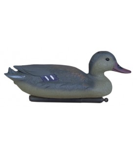 KRZYŻÓWKA SAMICA 35cm