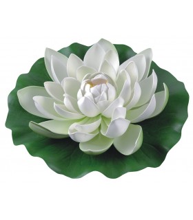 LILIA WODNA BIAŁA 28cm