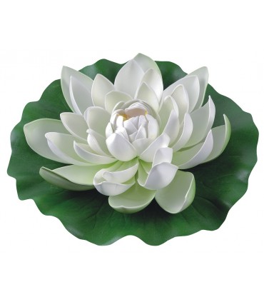 LILIA WODNA BIAŁA 28cm