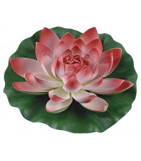 LILIA WODNA GĄBKA CZERWONA 28cm