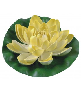 LILIA WODNA GĄBKA ŻÓŁTA 19cm