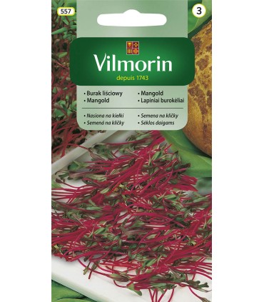 V - NASIONA NA KIEŁKI BURAK LIŚCIOWY 10g (3)