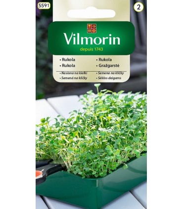 V - NASIONA NA KIEŁKI RUKOLA 10g (2)