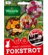 V - TAŚMA TANIEC KWIATÓW FOKSTROT 3x2m (P5)