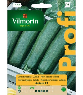 VP - DYNIA ZW. CUKINIA ANISSA F1 2g (P6)