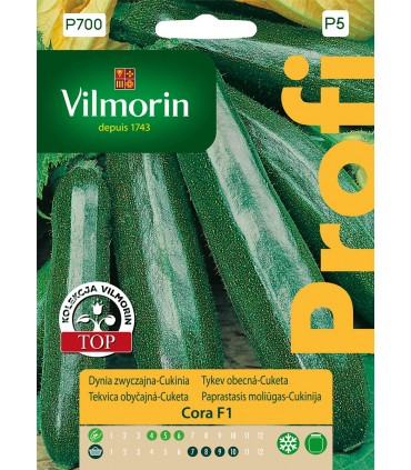 VP - DYNIA ZW. CUKINIA CORA F1 2g (P5)