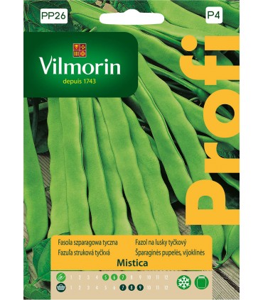 VP - FASOLA TYCZNA MISTICA 10g (P4)