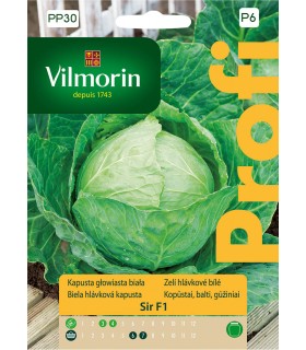 VP - KAPUSTA GŁOWIASTA SIR F1 35N (P6)
