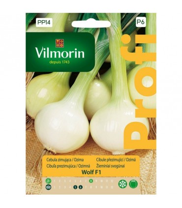 VP - CEBULA ZIMUJĄCA WOLF F1 2g (P6)