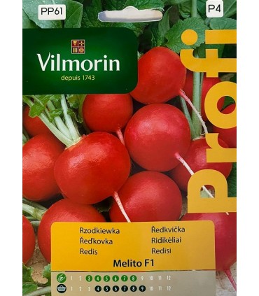 VP - RZODKIEWKA MELITO F1 200N (P4)