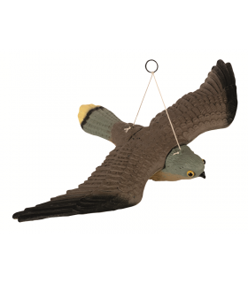 SOKÓŁ PUSTUŁKA 36cm