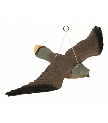 SOKÓŁ PUSTUŁKA 36cm