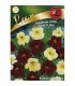 L - LUX NASTURCJA NISKA NIGHT&DAY 5g /3/
