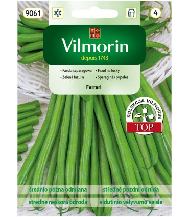 V - FASOLA SZPAR. ZIELONA FERRARI 30G (4)