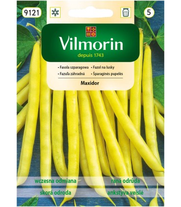 V - FASOLA SZPAR. ŻÓŁTA MAXIDOR 30G (5)
