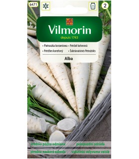 V - PIETRUSZKA ALBA 3G (2)