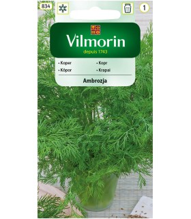 V - KOPER AMBROZJA 5g (1)