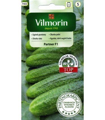 V - OGÓREK GR. PARTNER F1 3G (5)