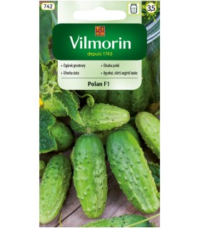 V - OGÓREK GR. POLAN F1 3G (3,5)