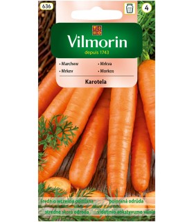 V - MARCHEW KAROTELA 5G (4)