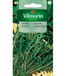 V - RUKOLA WIELOLETNIA DZIKA 2G (2)