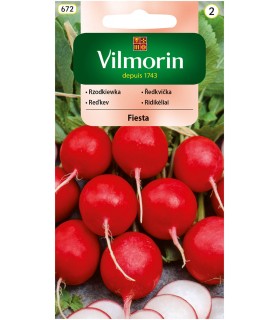 V - RZODKIEWKA FIESTA 10G (2)