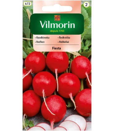 V - RZODKIEWKA FIESTA 10G (2)