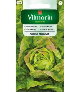 V - SAŁATA MASŁOWA KRÓLOWA MAJOWYCH 1G (0)