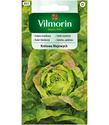 V - SAŁATA MASŁOWA KRÓLOWA MAJOWYCH 1G (0)